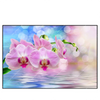 Led Wandbild Orchideen Blueten Querformat Produktvorschau Frontal