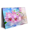Led Wandbild Orchideen Blueten Querformat Produktvorschau Seitlich
