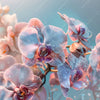 Led Wandbild Orchideenblueten In Pastell Quadrat Motivvorschau