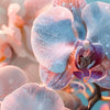 Led Wandbild Orchideenblueten In Pastell Schmal Zoom