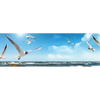Led Wandbild Ostseekueste Moewen Panorama Motivvorschau