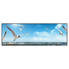 Led Wandbild Ostseekueste Moewen Panorama Produktvorschau Frontal