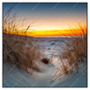 Led Wandbild Ostseestrand Bei Sonnenuntergang Quadrat Produktvorschau Frontal