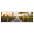 Led Wandbild Palmen Am Strandweg Panorama Produktvorschau Frontal