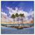 Led Wandbild Palmen Auf Insel Quadrat Produktvorschau Frontal