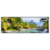 Led Wandbild Palmen Berg Auf Insel Panorama Produktvorschau Frontal