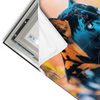 Led Wandbild Panther Farben Der Wildness Querformat Materialvorschau
