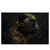 Led Wandbild Panther Mit Goldenen Ornamenten Querformat Produktvorschau Frontal