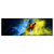 Led Wandbild Papagei Farbexplosion Panorama Produktvorschau Frontal