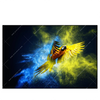 Led Wandbild Papagei Farbexplosion Querformat Produktvorschau Frontal