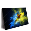 Led Wandbild Papagei Farbexplosion Querformat Produktvorschau Seitlich