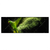 Led Wandbild Papagei Gruene Farbexplosion Panorama Produktvorschau Frontal