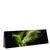 Led Wandbild Papagei Gruene Farbexplosion Panorama Produktvorschau Seitlich