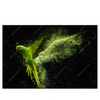 Led Wandbild Papagei Gruene Farbexplosion Querformat Produktvorschau Frontal