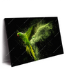 Led Wandbild Papagei Gruene Farbexplosion Querformat Produktvorschau Seitlich