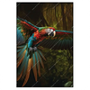 Led Wandbild Papagei Im Flug Hochformat Produktvorschau Frontal