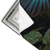 Led Wandbild Papagei Im Flug Panorama Materialvorschau