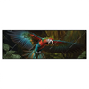 Led Wandbild Papagei Im Flug Panorama Produktvorschau Frontal