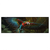 Led Wandbild Papagei Im Flug Panorama Produktvorschau Frontal