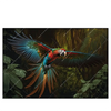 Led Wandbild Papagei Im Flug Querformat Produktvorschau Frontal