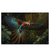 Led Wandbild Papagei Im Flug Querformat Produktvorschau Frontal