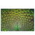 Led Wandbild Pfauenschwanz Querformat Produktvorschau Frontal