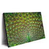 Led Wandbild Pfauenschwanz Querformat Produktvorschau Seitlich