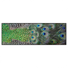 Led Wandbild Pfaufedern Panorama Produktvorschau Frontal