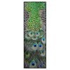 Led Wandbild Pfaufedern Schmal Produktvorschau Frontal