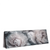 Led Wandbild Pony Flowers Panorama Produktvorschau Seitlich