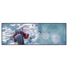 Led Wandbild Pusteblume Marienkaefer Panorama Produktvorschau Frontal