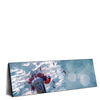 Led Wandbild Pusteblume Marienkaefer Panorama Produktvorschau Seitlich