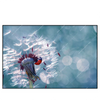 Led Wandbild Pusteblume Marienkaefer Querformat Produktvorschau Frontal