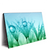 Led Wandbild Pusteblume Mit Tautropfen Querformat Produktvorschau Seitlich