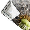 Led Wandbild Pusteblume No 10 Hochformat Materialvorschau