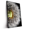 Led Wandbild Pusteblume No 10 Hochformat Produktvorschau Seitlich