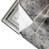 Led Wandbild Pusteblume No 10 Panorama Materialvorschau