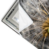 Led Wandbild Pusteblume No 10 Quadrat Materialvorschau