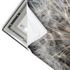 Led Wandbild Pusteblume No 10 Querformat Materialvorschau