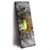 Led Wandbild Pusteblume No 10 Schmal Produktvorschau Seitlich