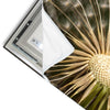 Led Wandbild Pusteblume No 11 Hochformat Materialvorschau