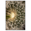 Led Wandbild Pusteblume No 11 Hochformat Produktvorschau Frontal