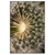 Led Wandbild Pusteblume No 11 Hochformat Produktvorschau Frontal