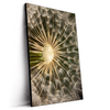 Led Wandbild Pusteblume No 11 Hochformat Produktvorschau Seitlich