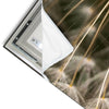 Led Wandbild Pusteblume No 11 Panorama Materialvorschau