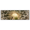 Led Wandbild Pusteblume No 11 Panorama Produktvorschau Frontal
