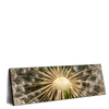 Led Wandbild Pusteblume No 11 Panorama Produktvorschau Seitlich