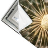 Led Wandbild Pusteblume No 11 Quadrat Materialvorschau