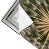 Led Wandbild Pusteblume No 11 Querformat Materialvorschau