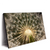 Led Wandbild Pusteblume No 11 Querformat Produktvorschau Seitlich